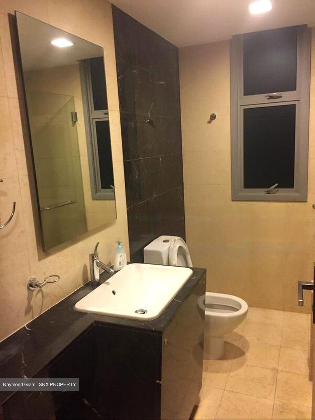 Residences @ Evelyn (D11), Condominium #441292201